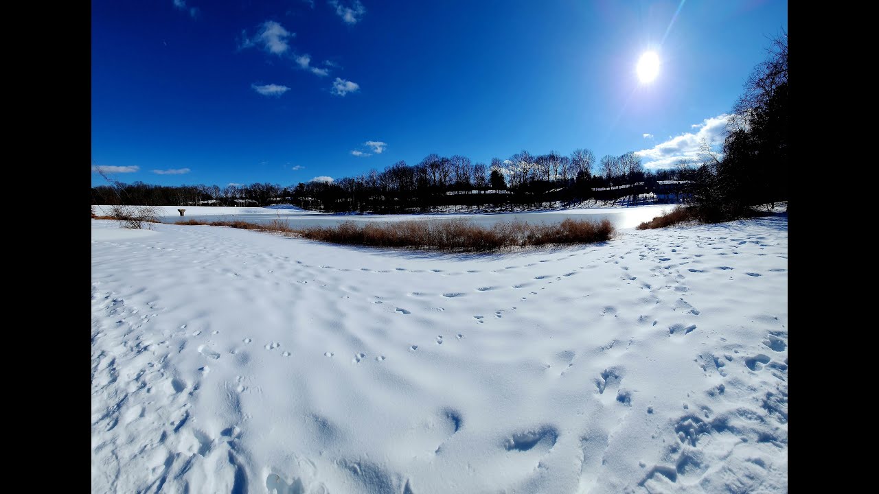 8K Northern Virginia Snow 2026O | Relaxing Blizzard & Nature Sounds