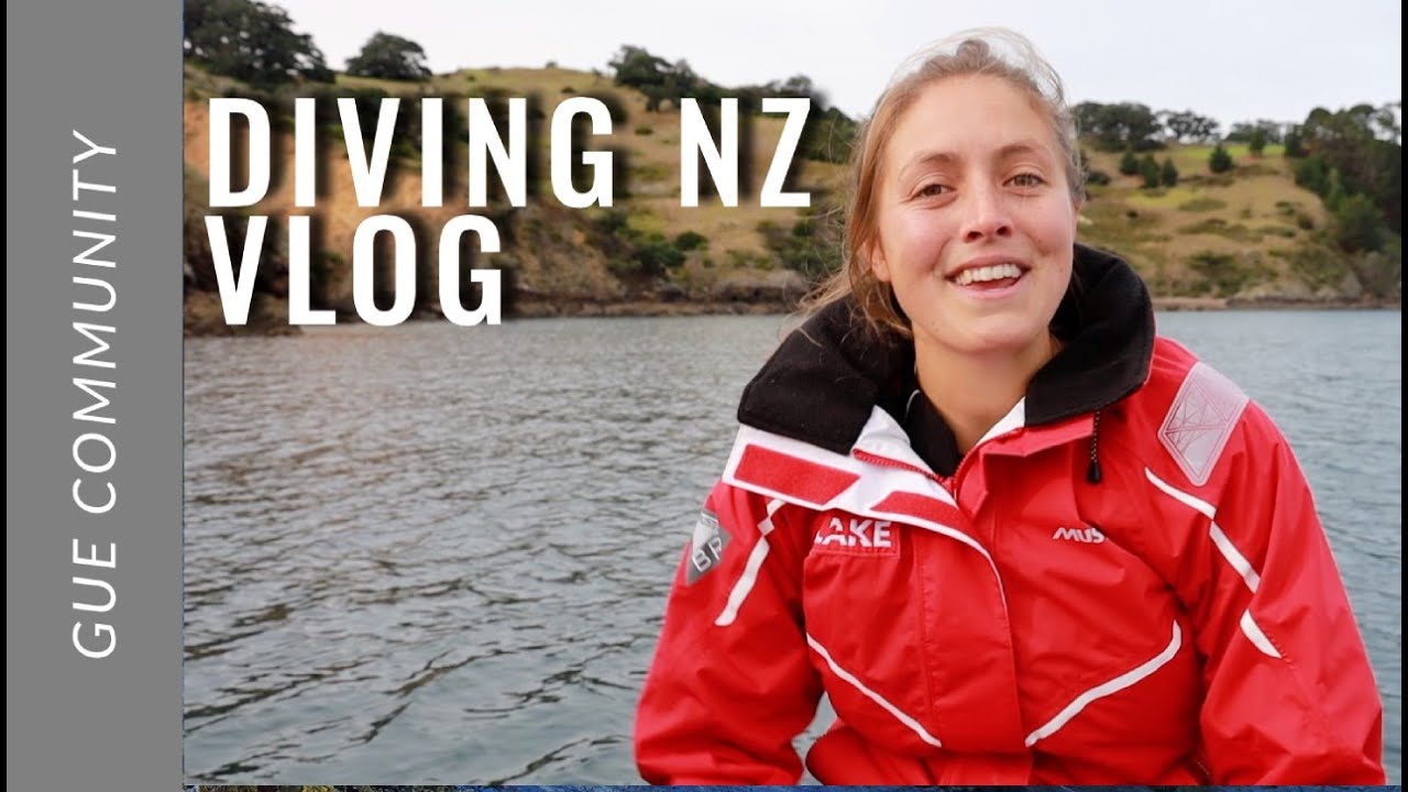 Scuba Diving Vlog: New Zealand