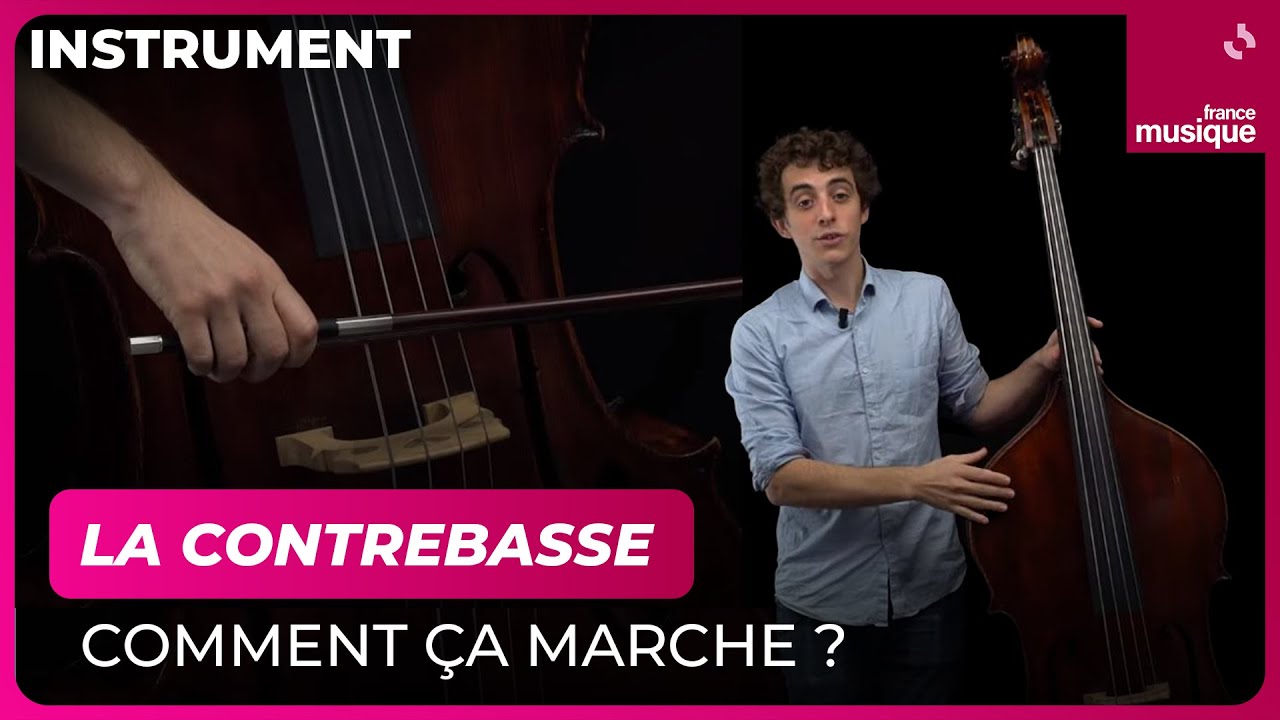 La contrebasse, comment ça marche ? Lucas Henri - Culture Prime
