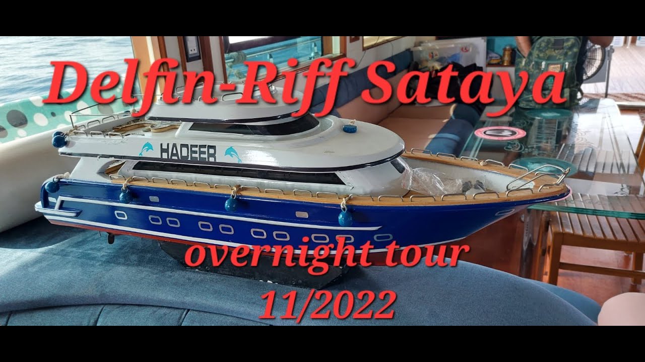 Delfin-Riff Sataya-11/2022-overnight tour-Snorkeling with Dolphins