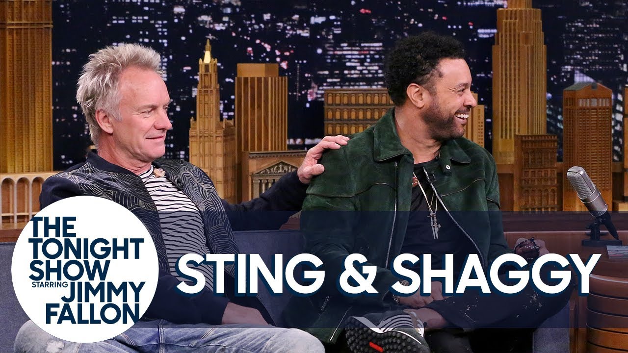 Sting Met Shaggy After He Wandered Onstage During 