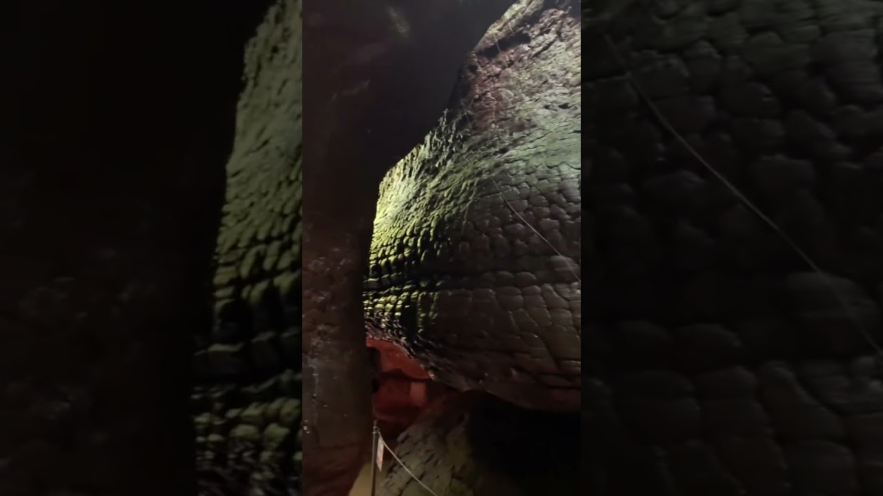 📍Naga cave snake stone🐍