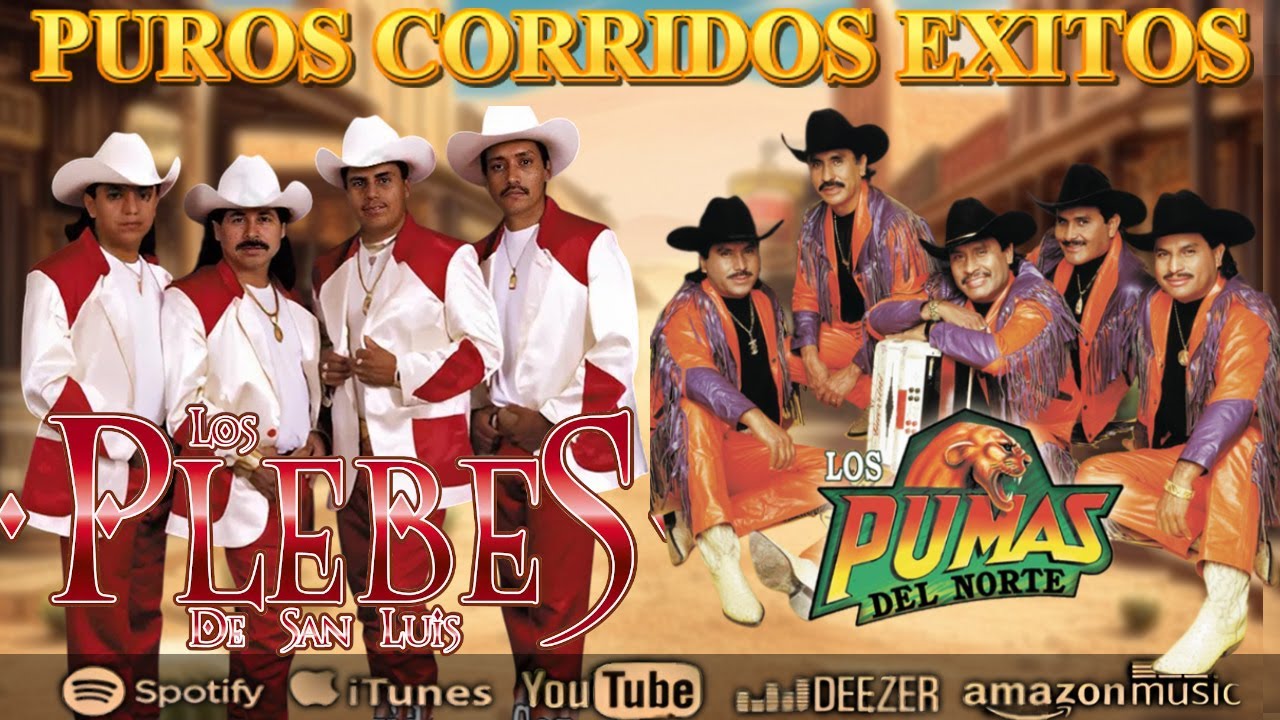 💣 30 Corridazos Bravos Para Pistear 🎸 Los Pumas del Norte y Los Plebes