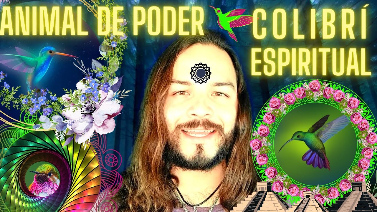 Animal de poder COLIBR&Iacute; y su significado espiritual
