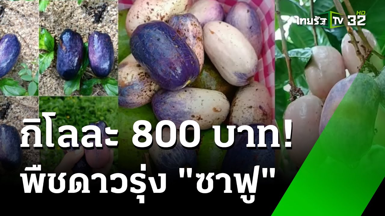 กิโลละ 800 บาท! 