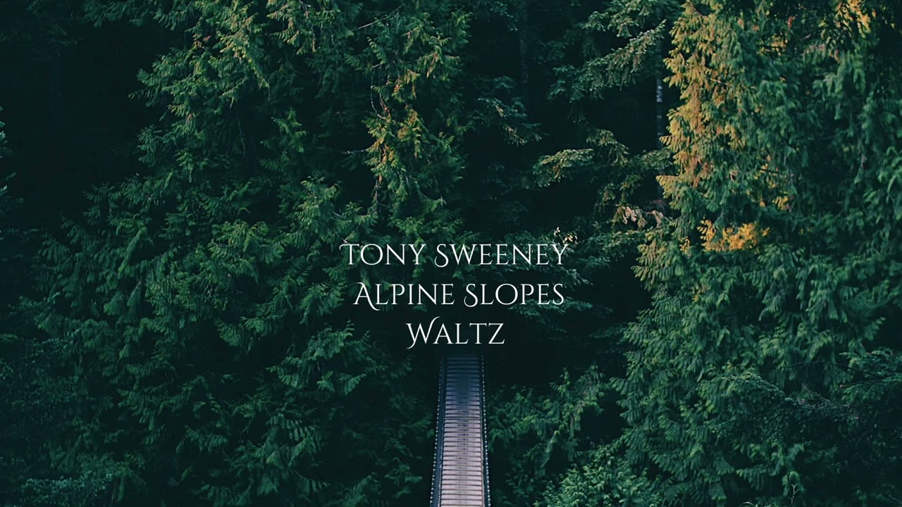 Tony Sweeney Accordion