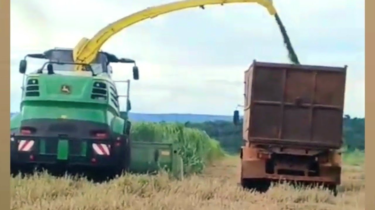 CORTE DE SILAGEM 2026 COMECOU #agro#farming#brasil 
