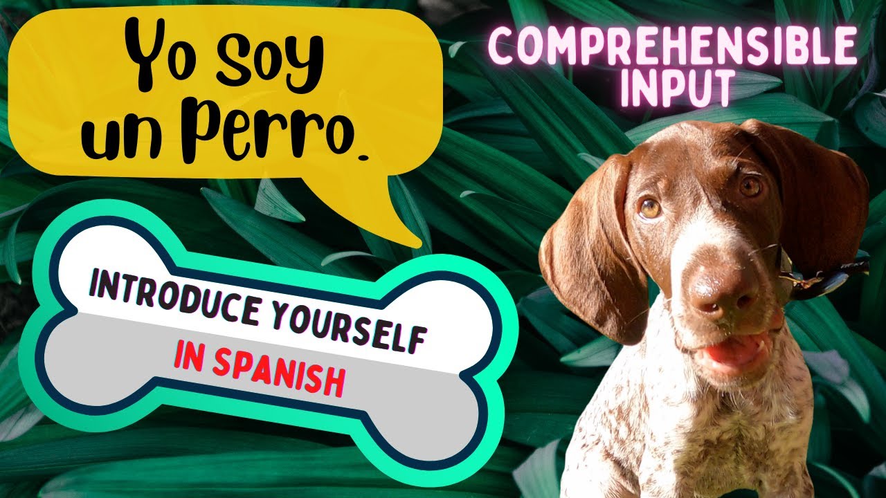 How to introduce yourself in Spanish, Learn Spanish from a dog (Spanish Comprehensible Input)