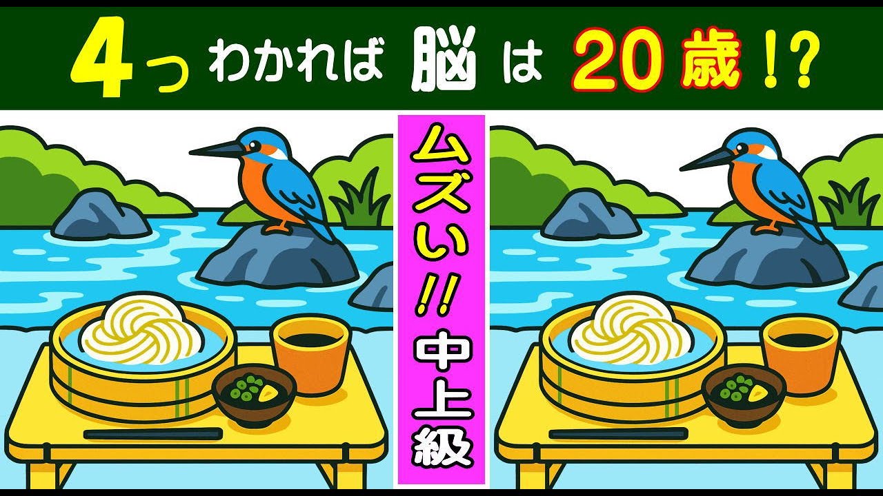 ６０代・７０代への脳トレ効果抜群！むずかしい【間違い探し】  そうめんとカワセミのイラスト問題などが５問＋おまけ。#378