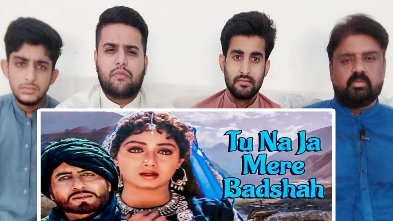 Pakistani Reaction On Tu Na Jaa Mere Baadshah Song