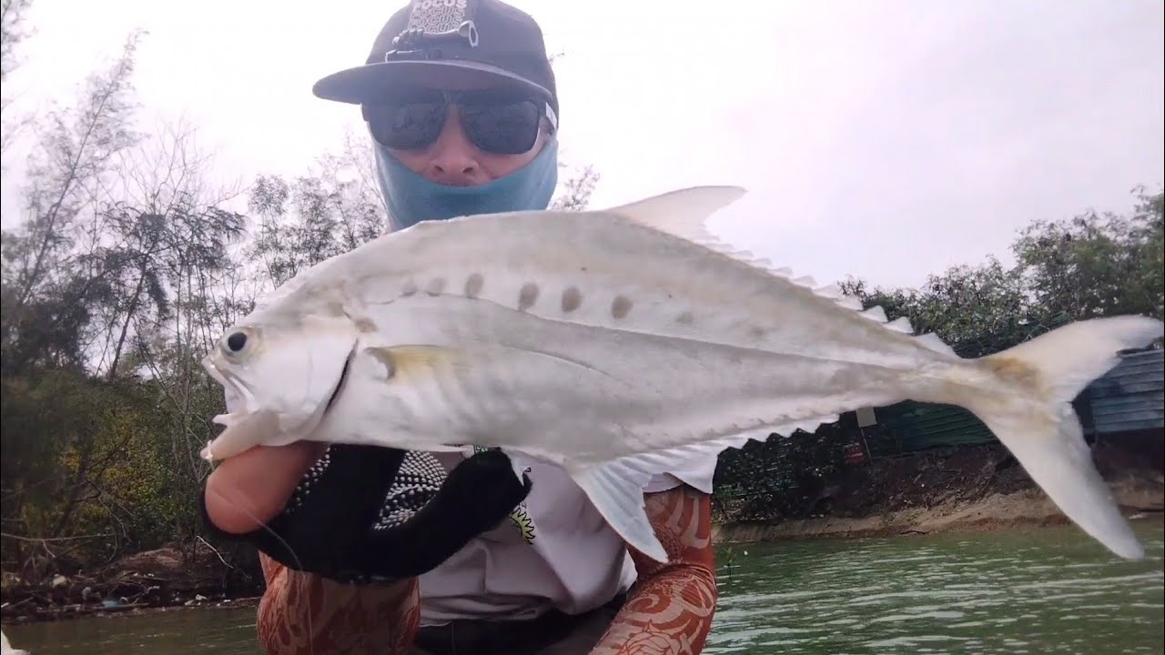 Fishing In Singapore , Two Days Looking For Queenfish In New Place