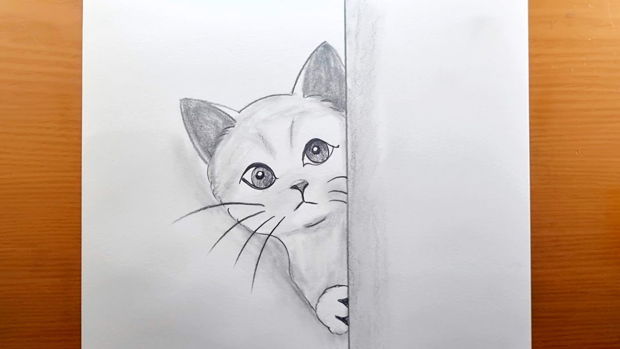 Come disegnare passo dopo passo l'immagine di un gatto con la matita