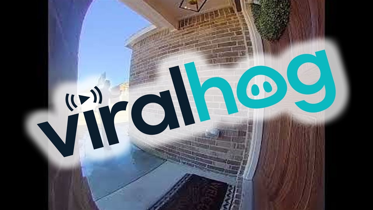 FedEx Delivery Guy Slides Across Ice Delivering Package in Style || ViralHog