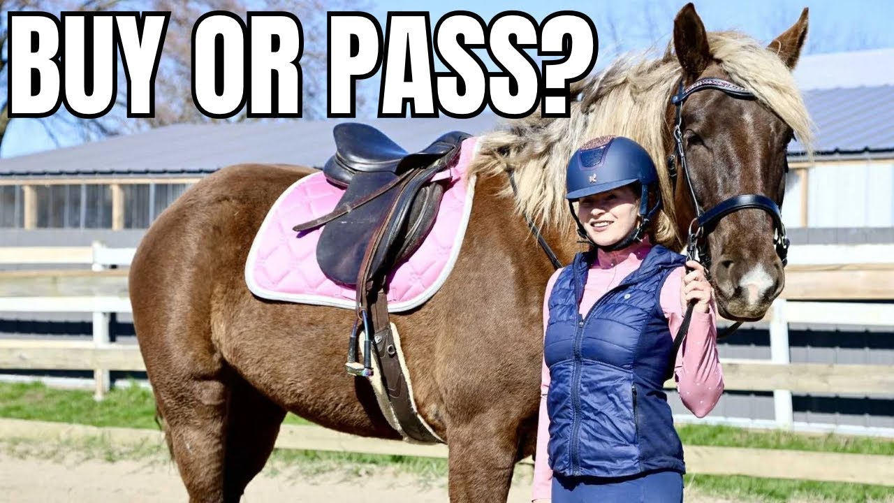 WHY DID I BUY ALL OF MY HORSES??? THESE ONES  MADE THE CUT....