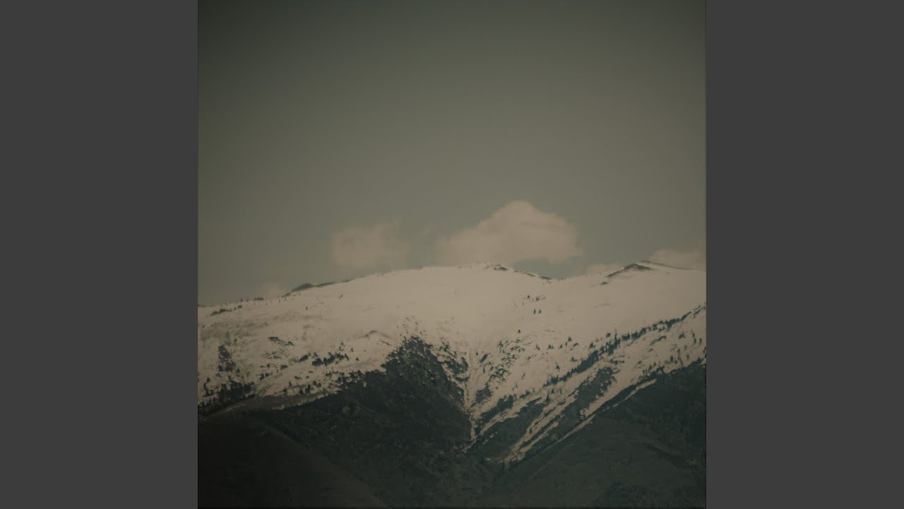 زفة نور الحسن