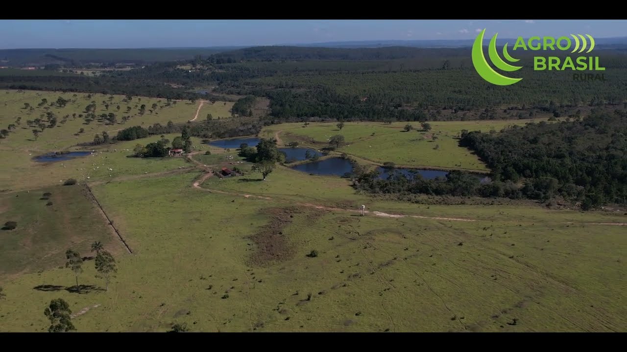 Fazenda Interior São Paulo - 711 hectares
