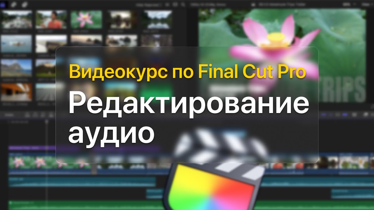 🎹 Редактирование аудио — курс уроков по Final Cut Pro