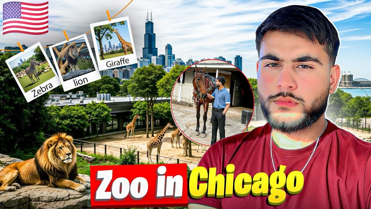 Exploring Chicago’s Amazing Zoo: A Fun Day with Wildlife! 😍🦍 #animallovers