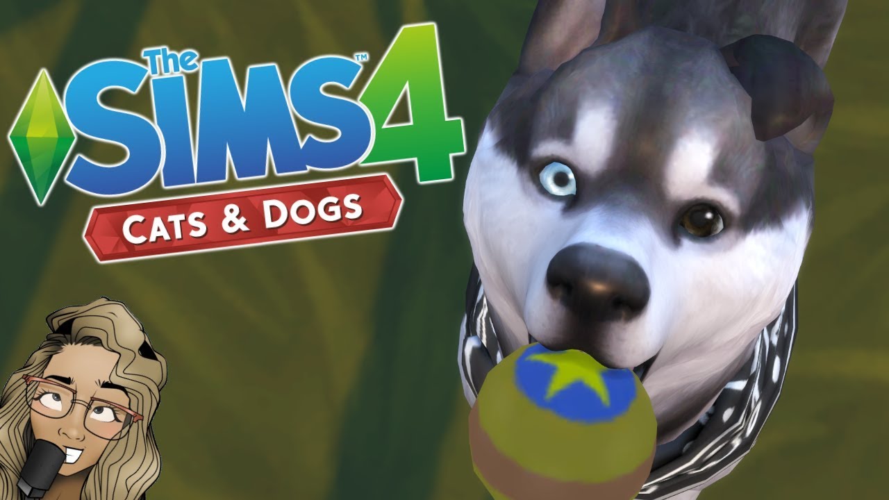 The Sims 4: Cats and Dogs | GAMEPLAY FIRST LOOK |