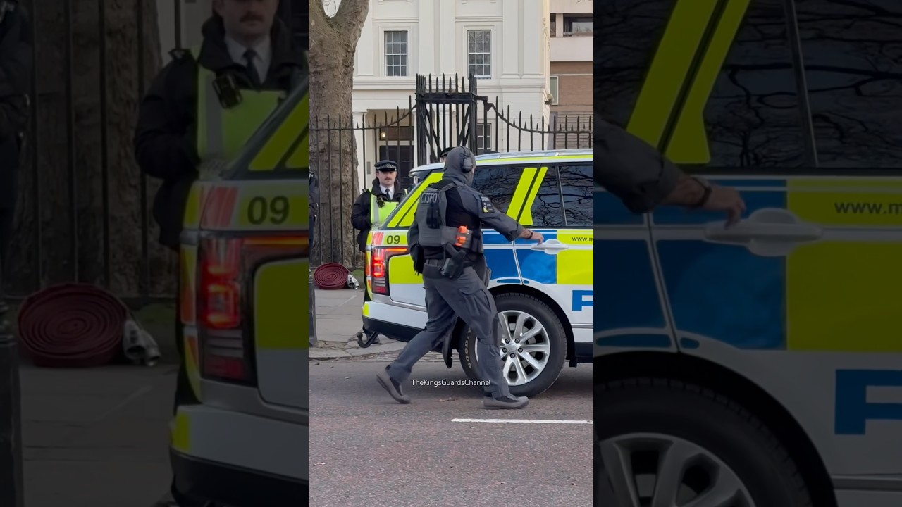 Insane Security Measures in London 🚨