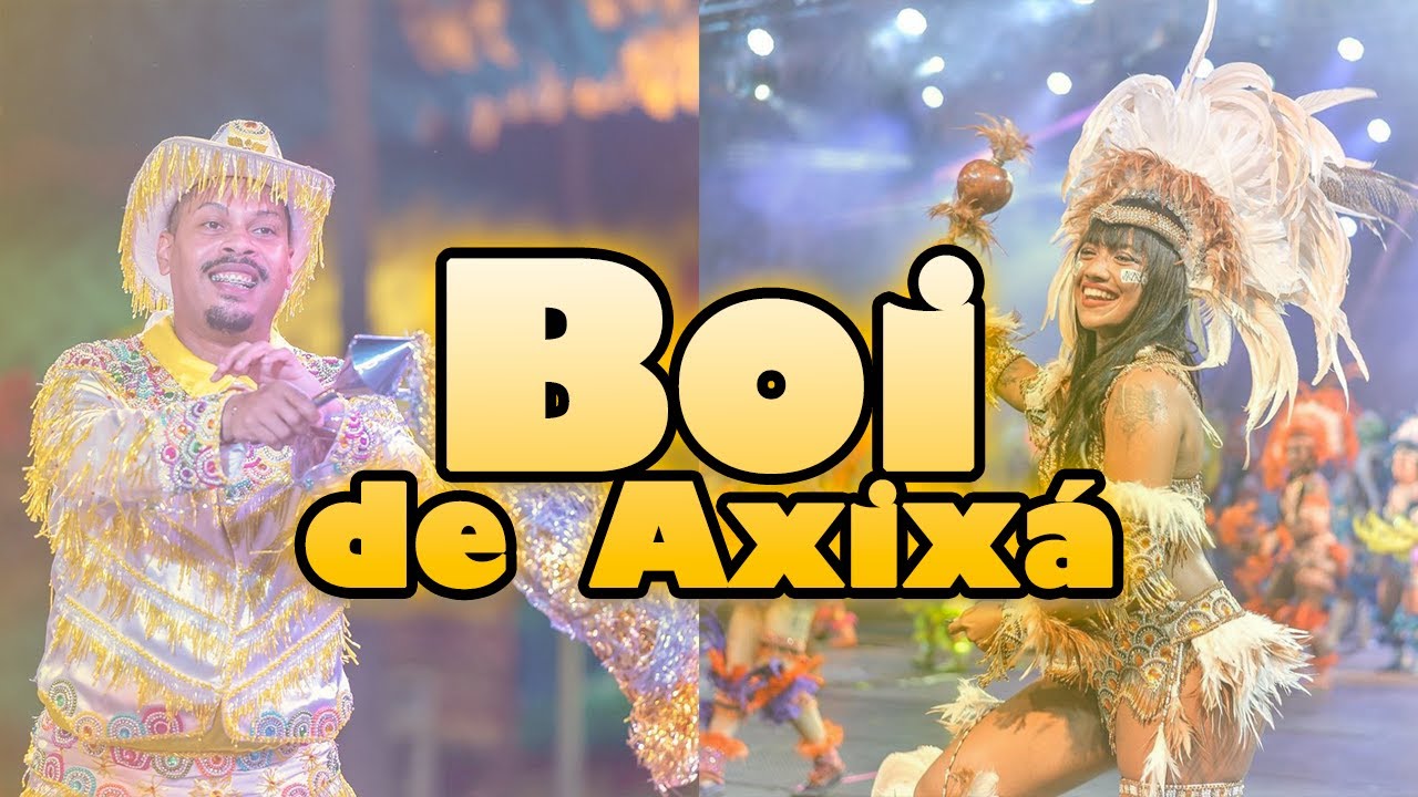 PARA MATAR A SAUDADE: Boi de Axixá #16