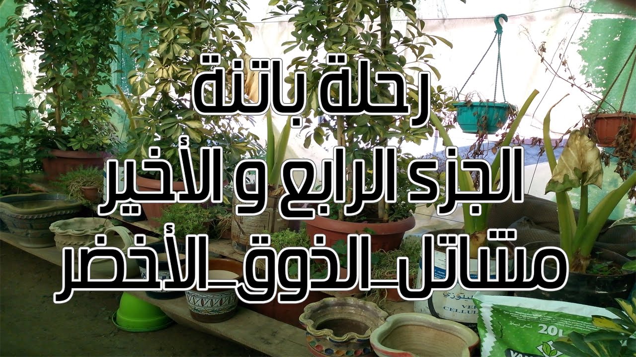 رحلة باتنة ،الجزء 4 و الأخير ، #مشاتل_الذوق_الأخضر