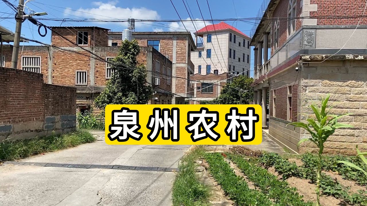 探访福建省泉州市南安市洪濑镇葵山村 阜阳传芳 苏姓村民居多 有些观众爱挑毛病 对着视频挑毛病无限放大  您可以不看 不然我也是送你进黑名单 Quanzhou City Village.China