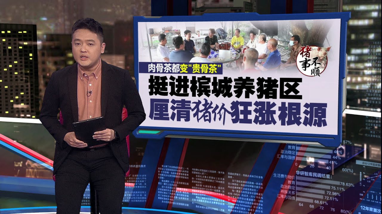 生猪价为何飙全球最贵？  养猪农面对“这个问题“不敢多养！| 新闻报报看 05/07/2025