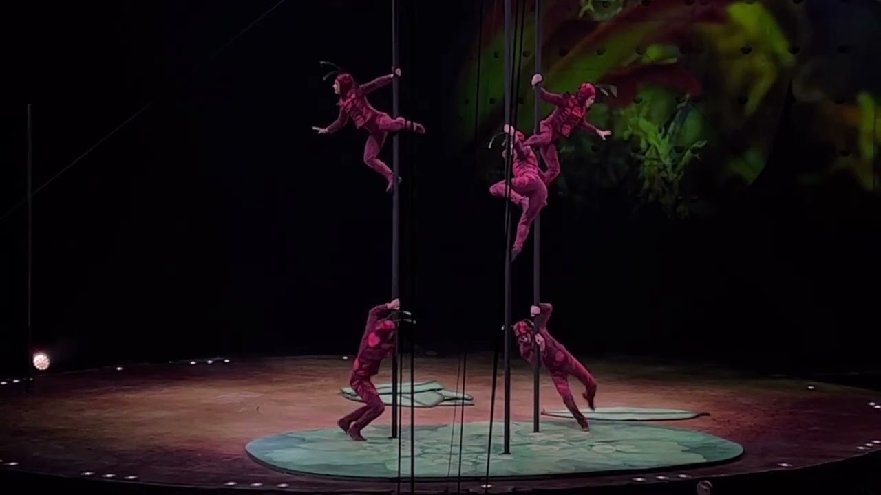Ants performance - Cirque du Soleil