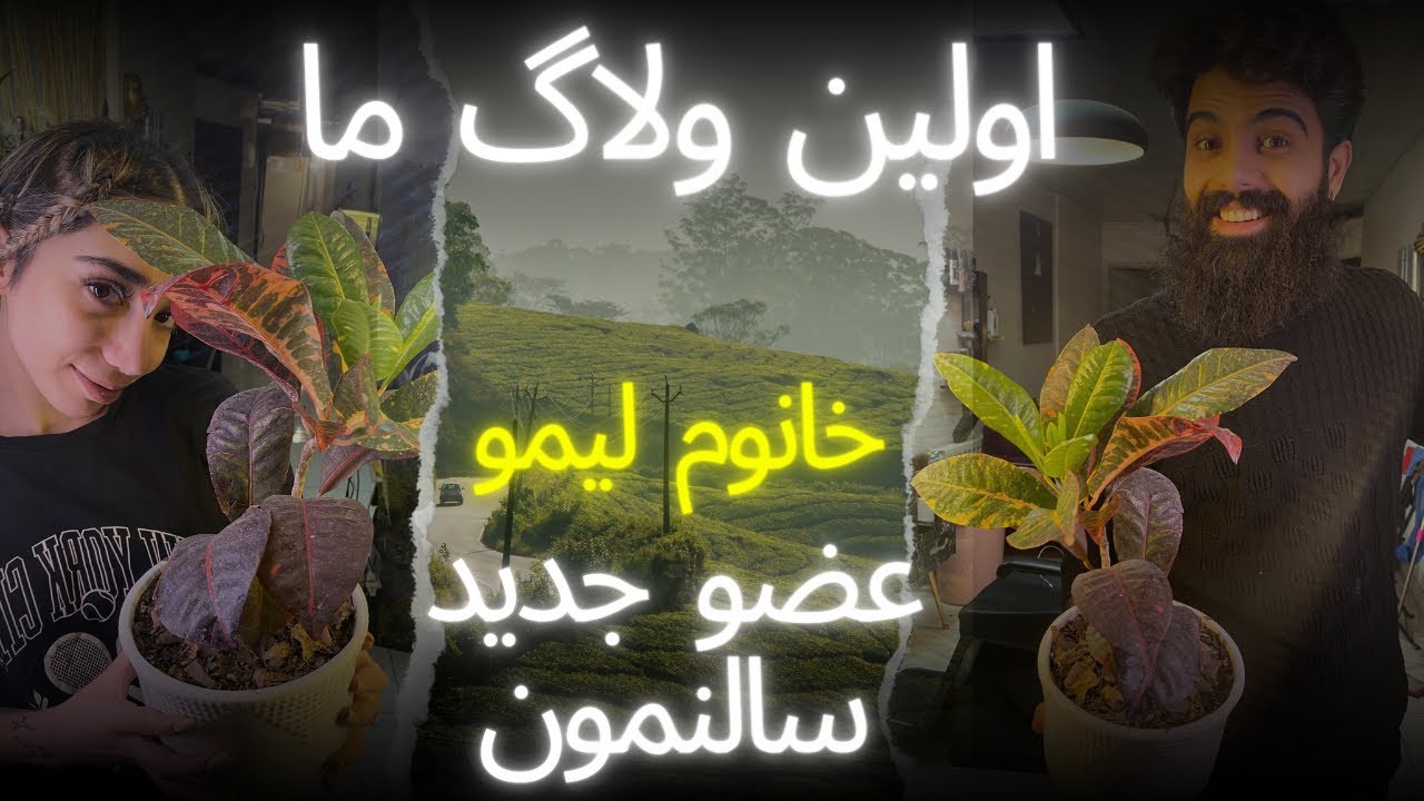 اولين ولاگ ما😎ولاگ خريد🥹 معرفى ميكنم جديدترين عضو خانوادمون😰🤯
