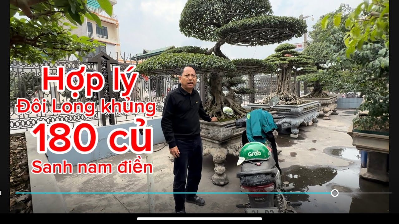 Đôi Long chầu sanh nam điền hàng đại giá 180 củ mà nhiều vườn đòi tiền tỷ. Rất nhiều hang víp