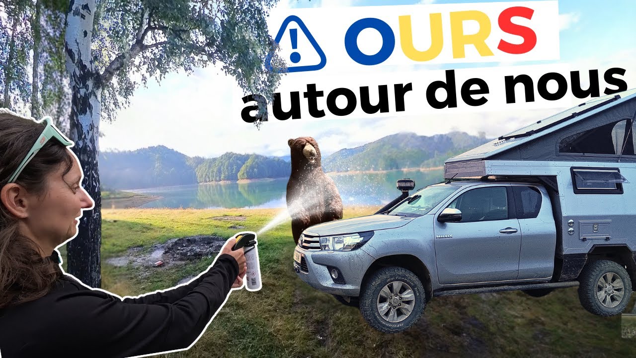 Ours PARTOUT en Roumanie ? Peut-on camper en sécurité ?