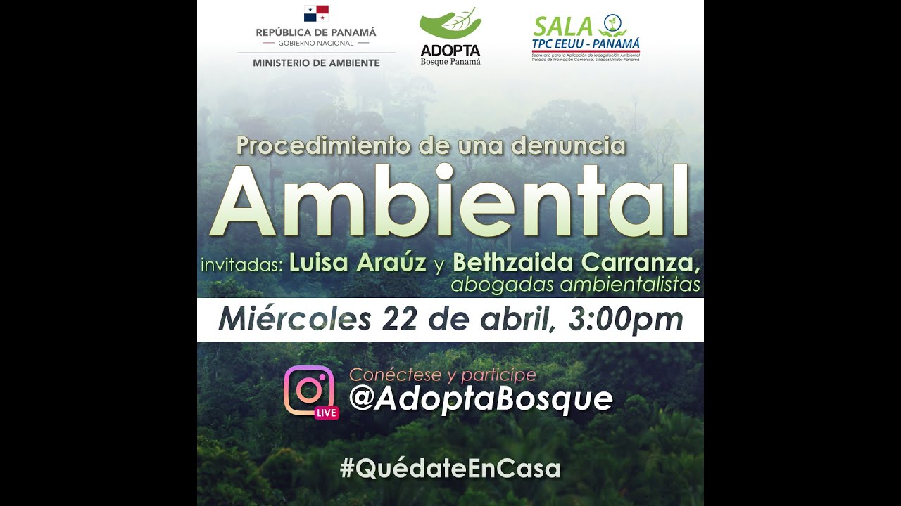 Procedimiento de una denuncia Ambiental