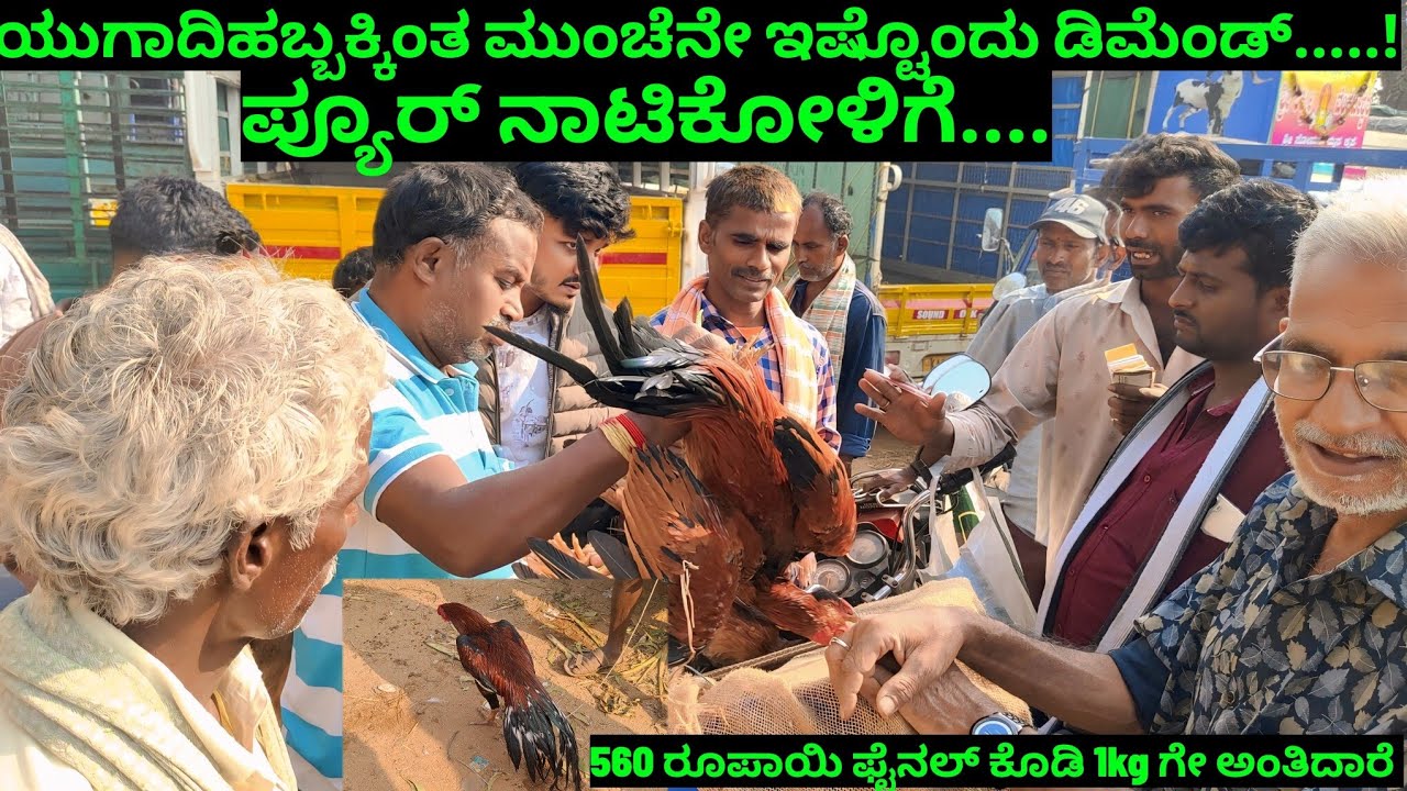 ಈ ಭಾರಿ ಯುಗಾದಿಹಬ್ಬದವಾರ ಸರಿಯಾಗಿ ಬಿದ್ದಿಲ್ಲದ ಕಾರಣ, ನೀವುಗಳು ವರುಷದ ತಡುಕು ಯಾವತ್ತೂ ಮಾಡ್ತೀರಾ...?