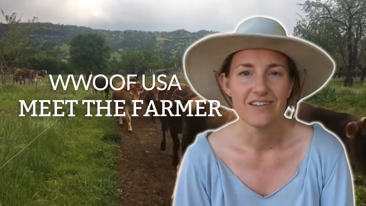 WWOOF Host in the beautiful Capay Valley, California