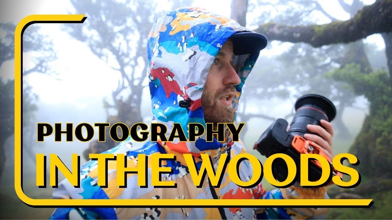 Woodland Photography can be Humbling