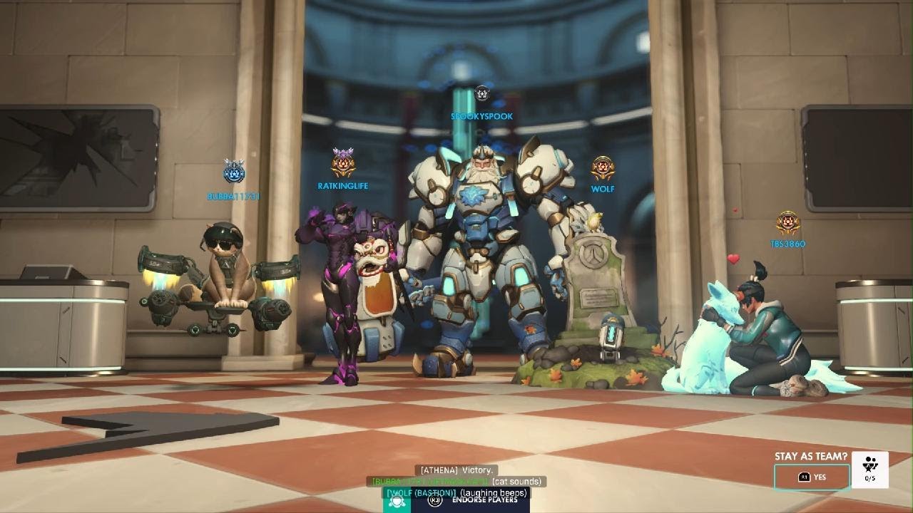 Cracy Patrick Game With Cat