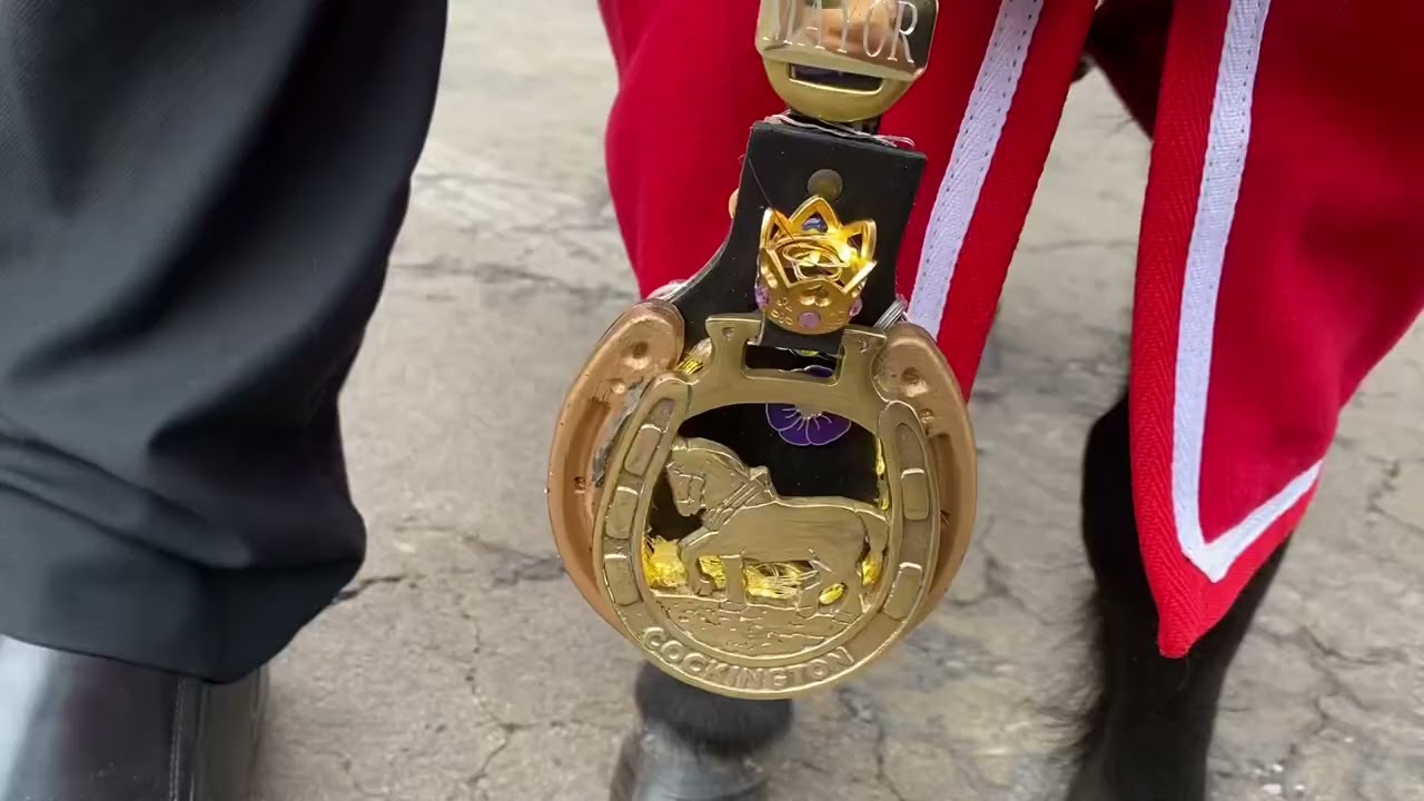 Patrick the Pony Mayor of Cockington Village