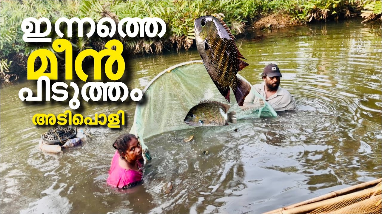 കുറച്ച് ദിവസമായി കായൽ മീൻ കഴിച്ചിട്ട് #food #petshub #cooking #fish #fishrecipes 