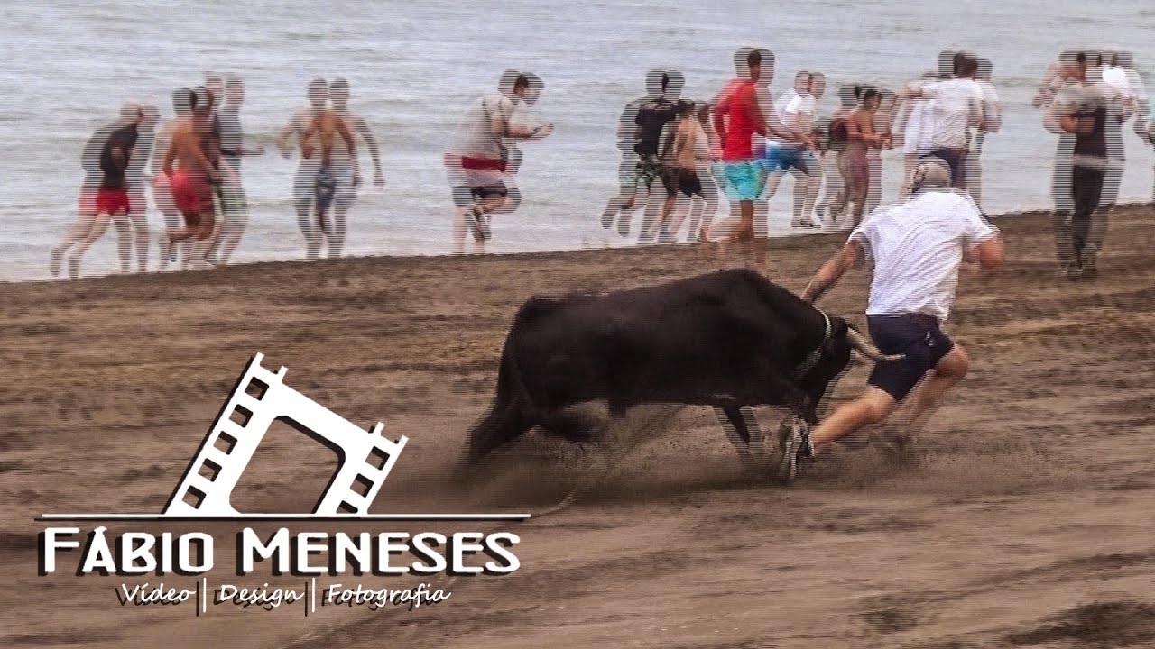 AS MARRADAS e APANHADOS no AREAL DA PRAIA 2022 | 07 de Agosto - Ilha Terceira-A&ccedil;ores