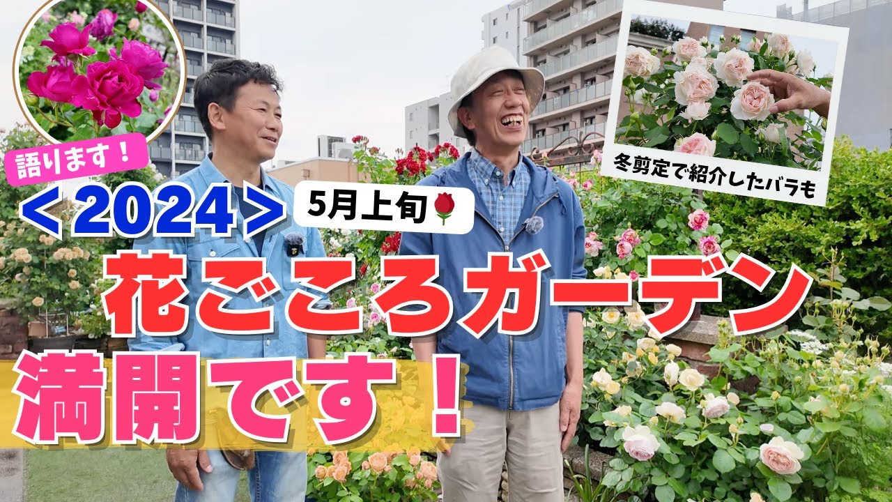 2024年5月上旬：今年の開花～花ごころオープンガーデン