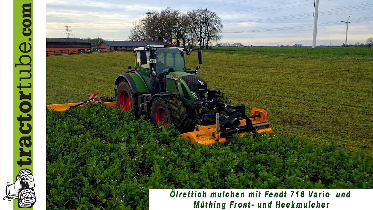 Ölrettich mulchen mit Fendt 718 mit Front- und Heckmulcher von Müthing