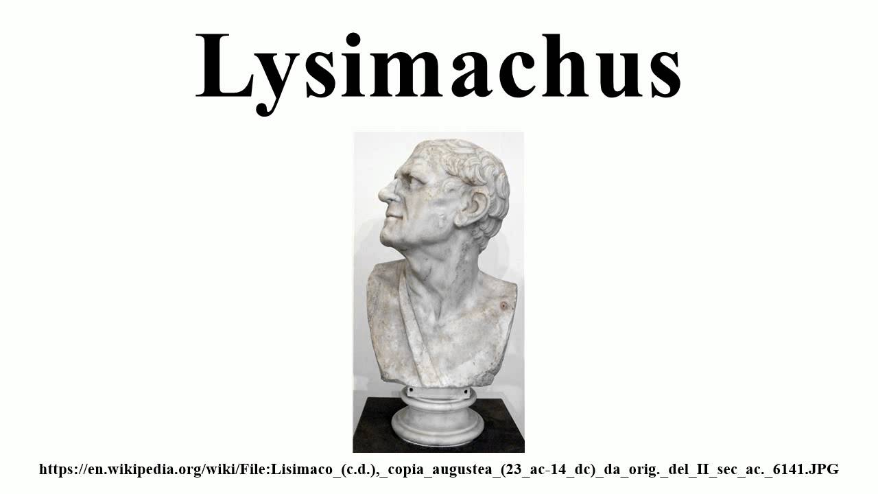 Lysimachus