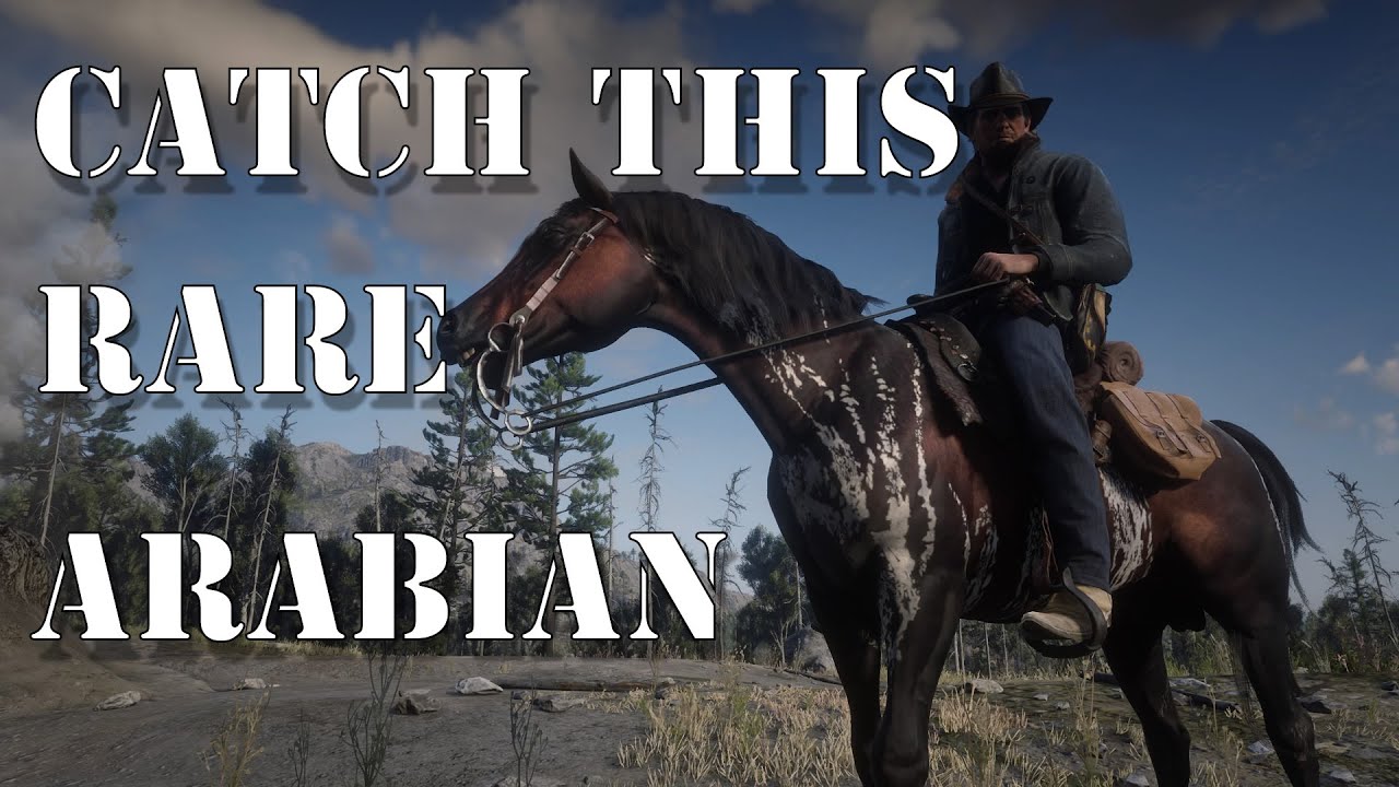 RDR2 | Warped Brindle Arabian Horse Location (Still Works 2025) – Hidden Rare Arabian Guide