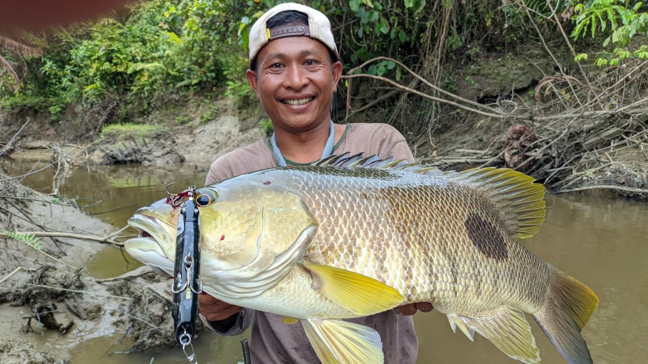 Trip Hulu sungai Big Spottail Mentawai