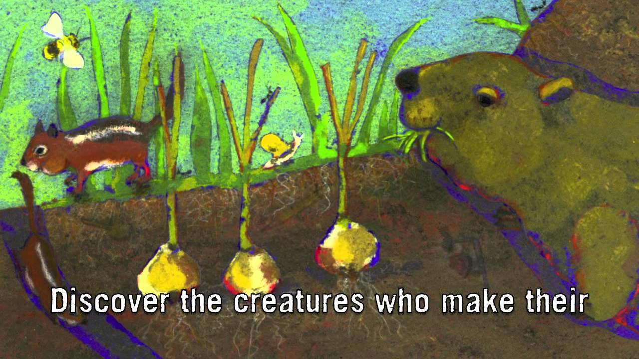 underGROUND by Denise Fleming (Official Book Trailer)