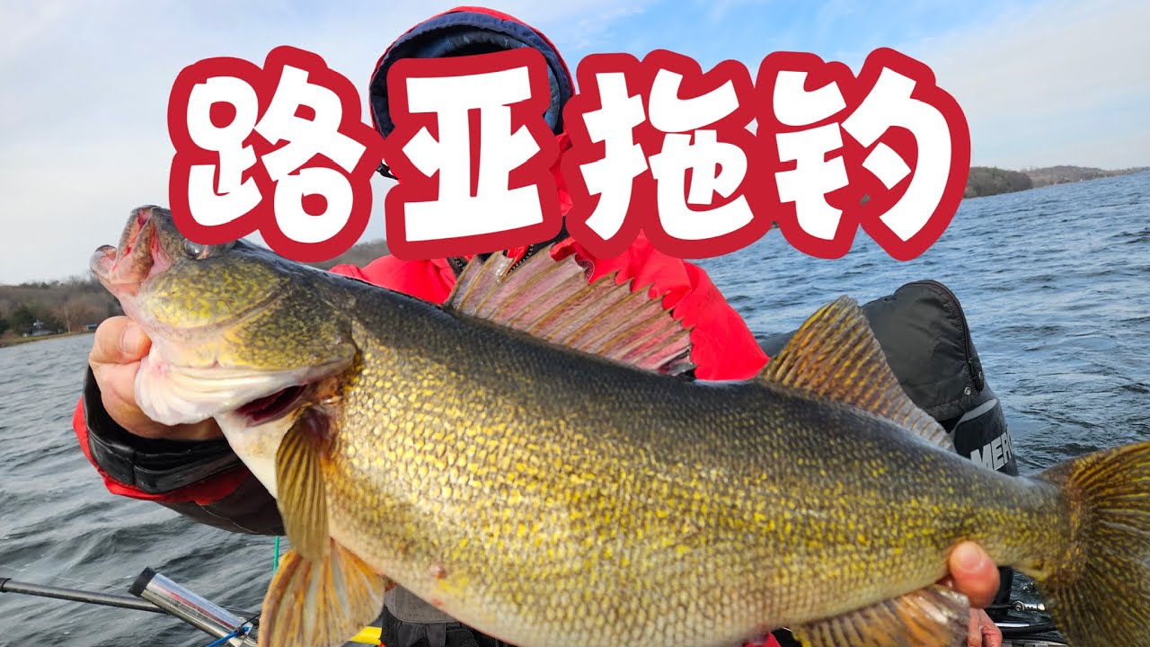 青石钓鱼日志 拖钓大碧古（walleye) 路亞餌的另類玩法 Trolling Giant Walleye in Fall