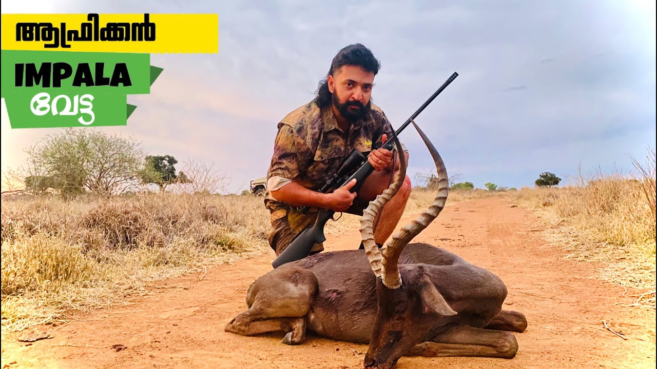 ആഫ്രിക്കൻ IMPALA വേട്ട ,AFRICAN HUNTING,BEST HUNTING,HUNTING AND COOKING,BUSH MEAT,MALAYALAM HUNTING