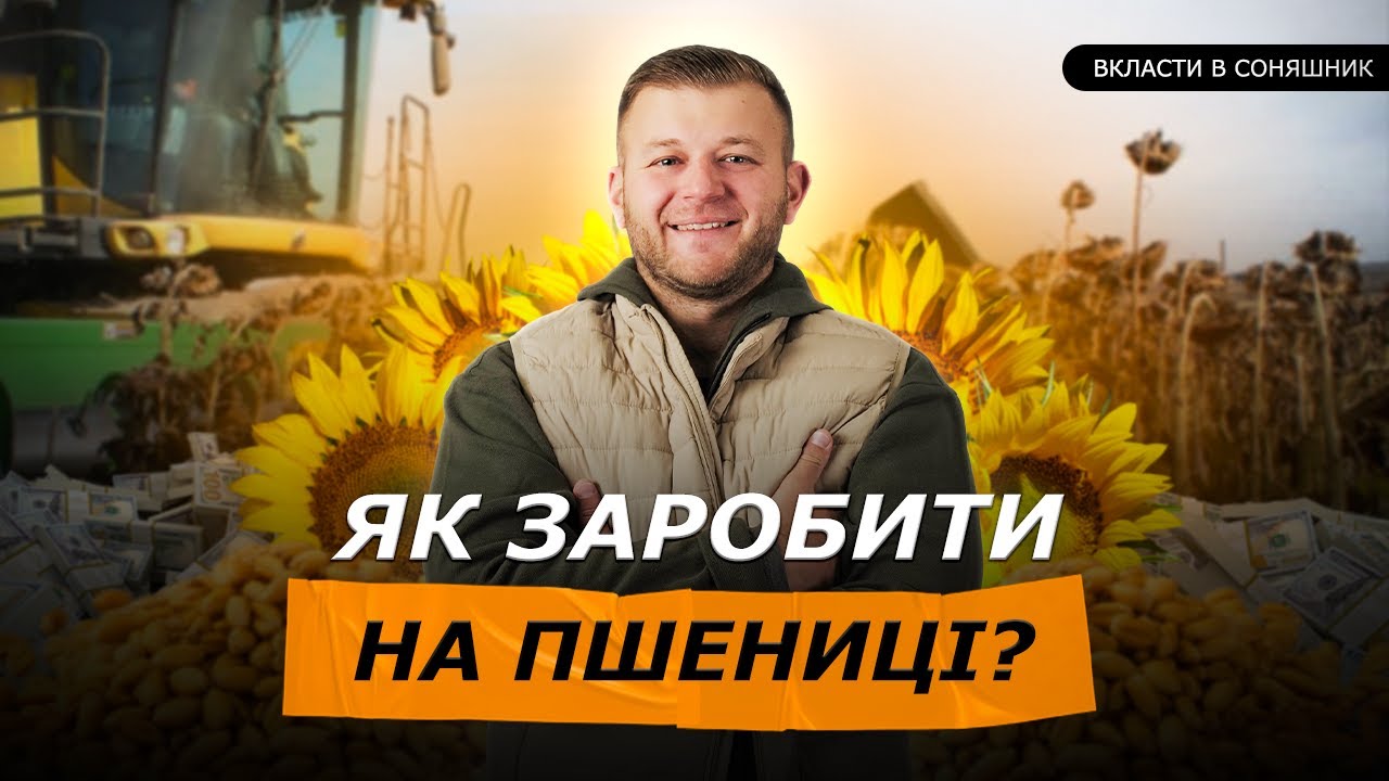ЯК ПРИЙОМ НА 🌻СОНЯШНИКУ МОЖЕ ЗБІЛЬШИТИ ПРИБУТКОВІСТЬ 🌾ПШЕНИЦІ НА 10 ТИС ГРН/ГА?
