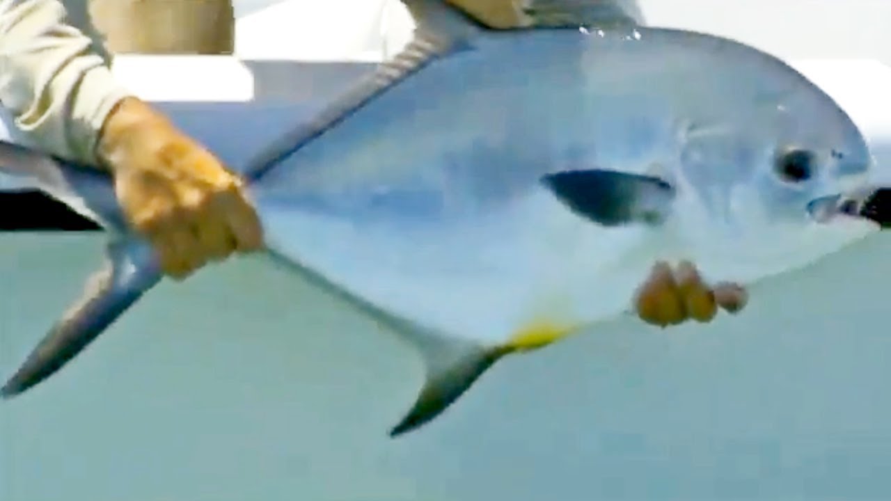 Saltwater Experience: 